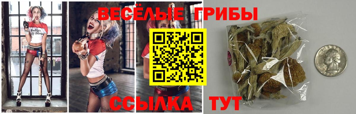 Псилоцибиновые грибы GOLDEN TEACHER  Вход с VPN  Коммунар 